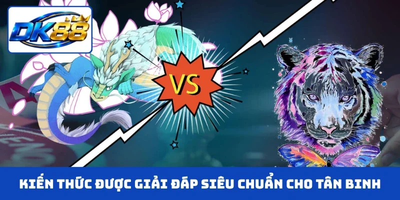 Kiến thức được giải đáp siêu chuẩn dành cho tân binh