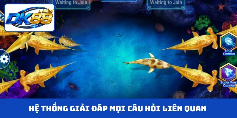 Hệ thống giải đáp mọi câu hỏi liên quan cho khách hàng